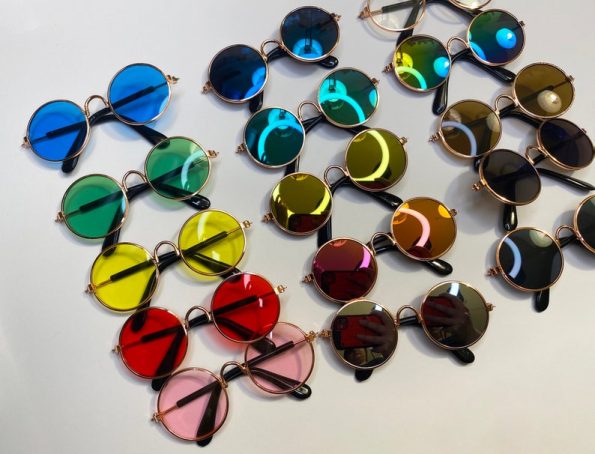 Cat Sized Sunglasses