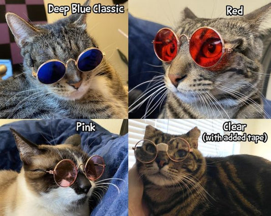 Cat Sized Sunglasses